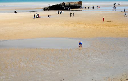 Gold Beach Museum Image