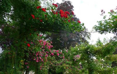 Jardin Public De Bayeux Image