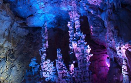 Canelobre Caves, Alicante | Ticket Price | Timings | Address: TripHobo