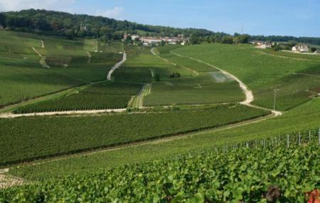 Montagne De Reims Regional Natural Park Reims Ticket