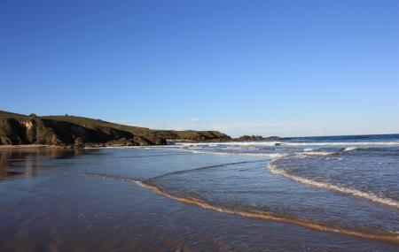 Surfing At Woolgoolga Beach Image