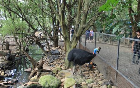 Oakvale Farm And Fauna World Image