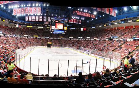 Joe Louis Arena is now equipped with LED goal lights, which help