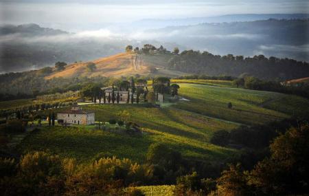 Decugnano Dei Barbi Image