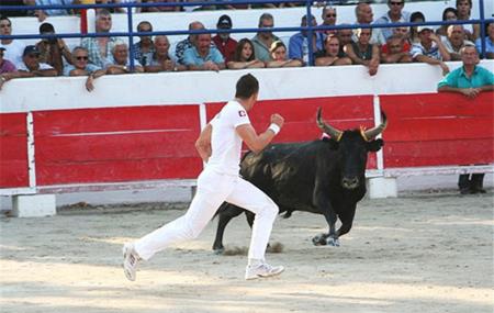 Manade Blanc Image