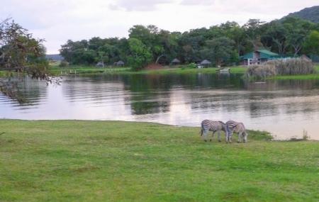 Lake Chivero Recreational Park Image