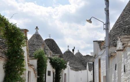 Museo Del Territorio Image