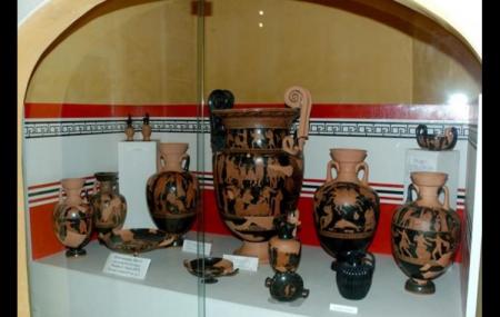 Museo Pomarici - Santomasi Image