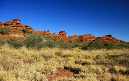 Finke Gorge National Park Image