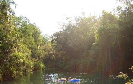 Berry Springs Nature Park Image