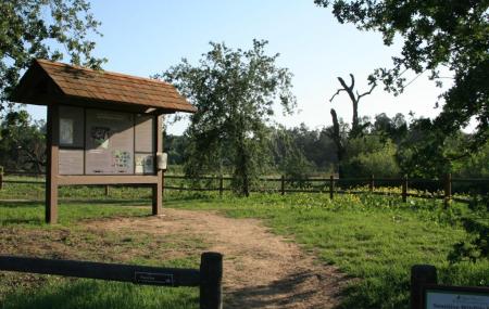 Ojai Meadows Preserve Image