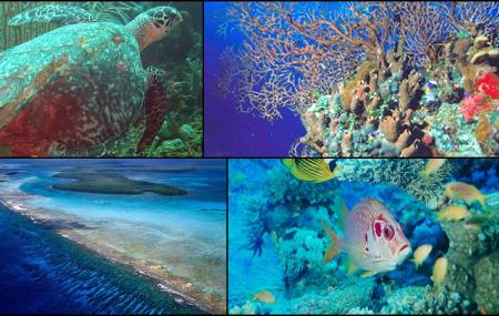 Belize Barrier Reef Image