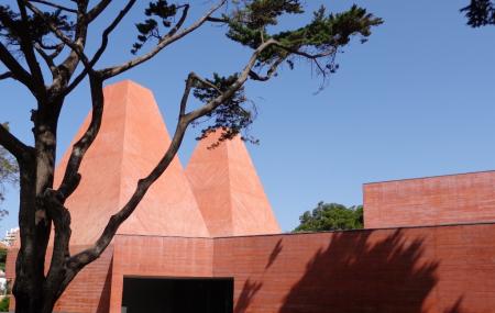 House Of Stories Paul Rego Or Casa Das Historias Paula Rego Image