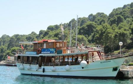 Boat Tours Image