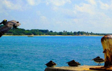 Bollard Bay Image
