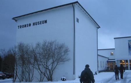 Tromso Museum Image