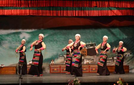 Tibetan Insititute Of Performing Arts Image