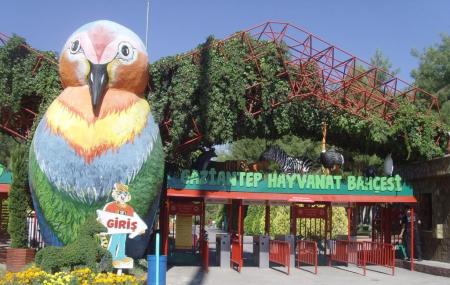 Gaziantep Zoo Gaziantep Ticket Price Timings Address Triphobo