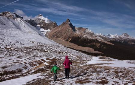 Parker Ridge Trail Image