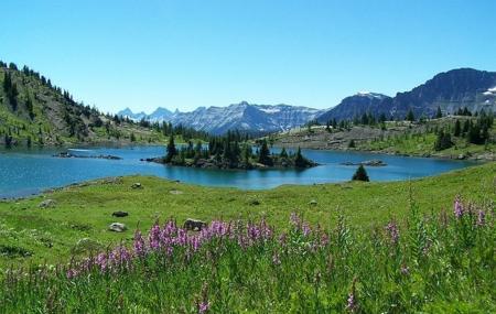 Sunshine Meadows Image