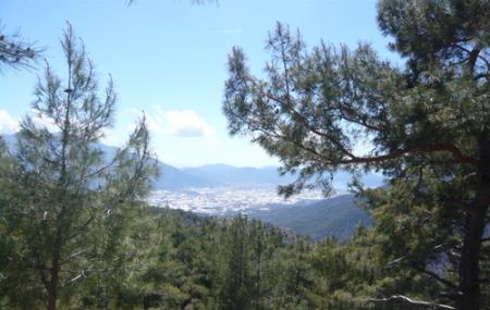 Cadianda Roman Ruins Image