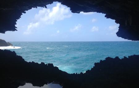Animal Flower Cave Image