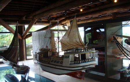 Museu Amazonico Image