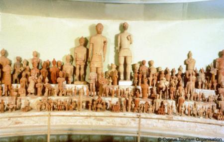 Limassol District Archaeological Museum Image