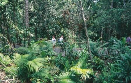 Kuranda Rainforest Nature Park Cairns Ticket Price Timings