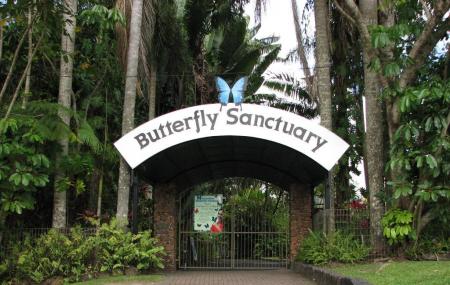 Australian Butterfly Sanctuary Image