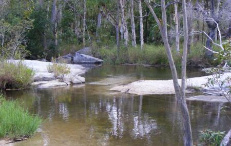 Davies Creek National Park Image