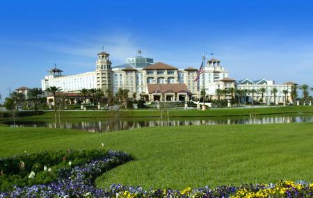 Gaylord Palms Resort And Convection Centre Image