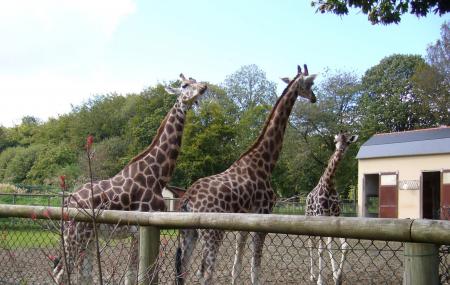 Parc Zoologique Et Chateau De La Bourbansais Image