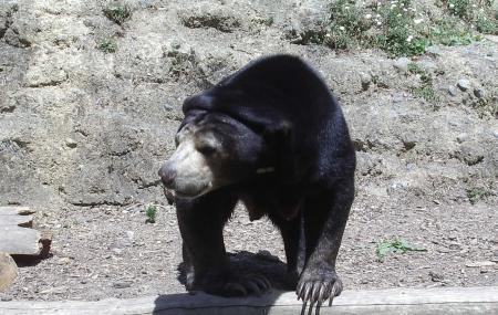 Wellington Zoo Image