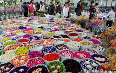 Flowers And Birds Market Of Kunming Image