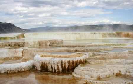 Mammoth Hot Springs Yellowstone National Park Ticket Price