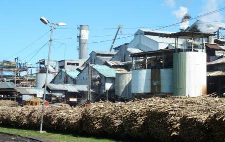 Lautoka Sugar Mill Image