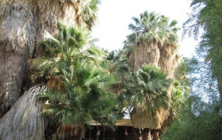 Coachella Valley Preserve Image