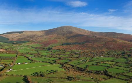 Mount Leinster Image