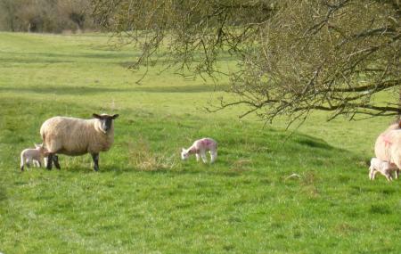 Secret Valley Wildlife Park Image