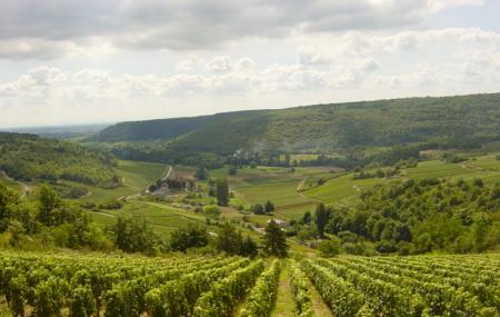 Chemins De Bourgogne Image
