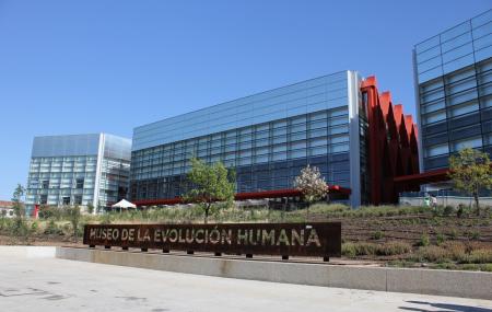 Museum Of Human Evolution Or Museo De La Evolucion Humana Image