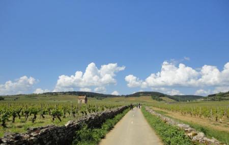 Burgundy Evasion Bike Tours Image