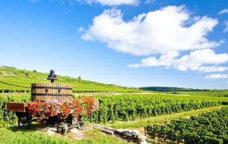Taste Burgundy Wine School Image