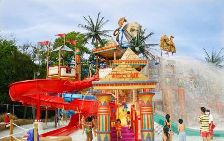 Camel Beach Image