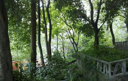 Louqat Hill Park Image