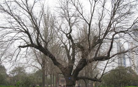 Renmin Park Image