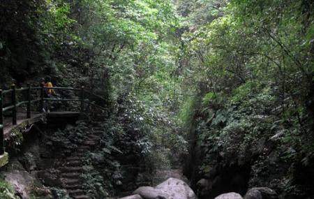 Jindao Canyon Scenic Area Image