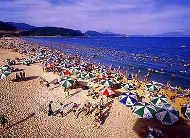 Dameisha Beach Image