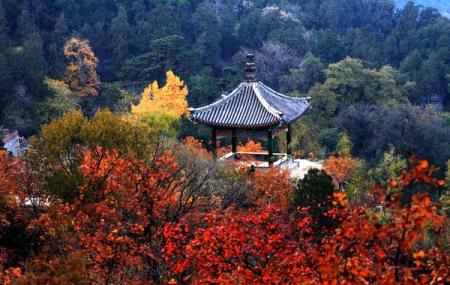 Qi Xia Mountain Image